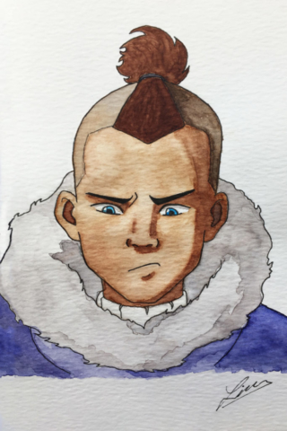 Sokka watercolour. 2018.